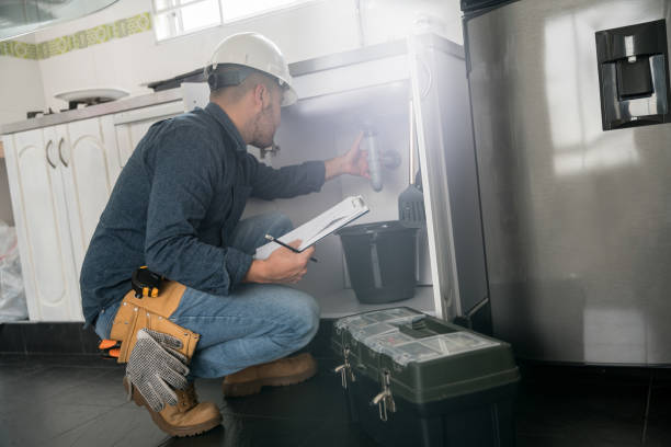 Best Leak Detection Services  in Lexington, IL