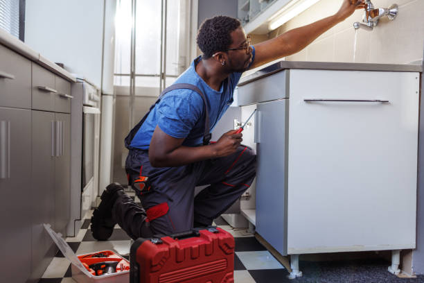 Best Plumbing Inspection Services  in Lexington, IL