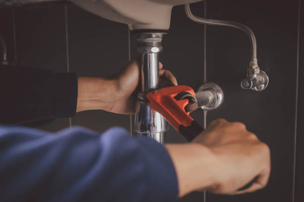 Best Clogged Drain Plumber  in Lexington, IL